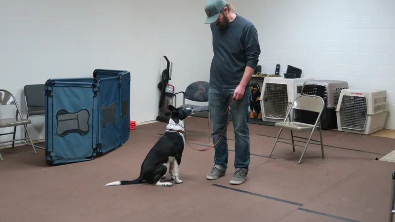 Clients and dogs in a Prodogz Dog Training basic obedience class led by Jason Lake in Medford, Oregon — January 1, 2018, photo 10