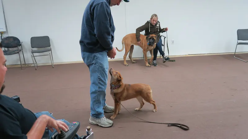 Clients and dogs in a Prodogz Dog Training basic obedience class led by Jason Lake in Medford, Oregon — January 1, 2018, photo 14