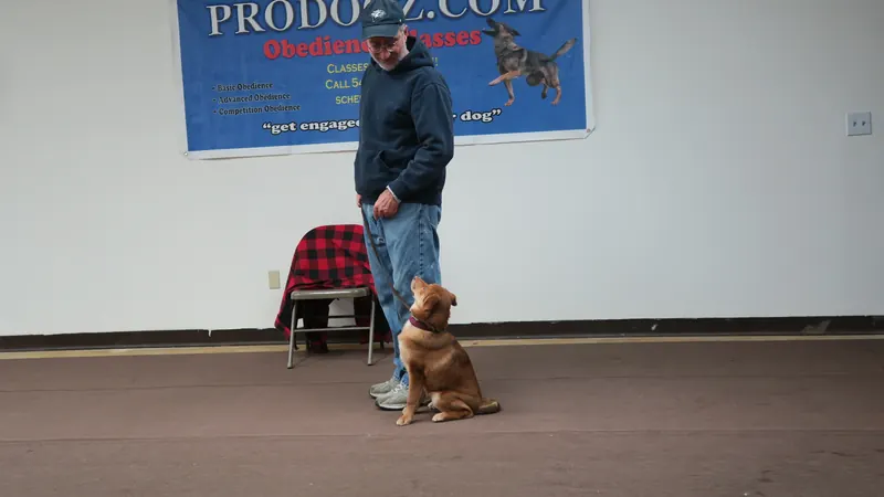 Clients and dogs in a Prodogz Dog Training basic obedience class led by Jason Lake in Medford, Oregon — January 1, 2018, photo 17