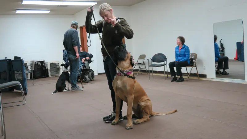 Clients and dogs in a Prodogz Dog Training basic obedience class led by Jason Lake in Medford, Oregon — January 1, 2018, photo 18