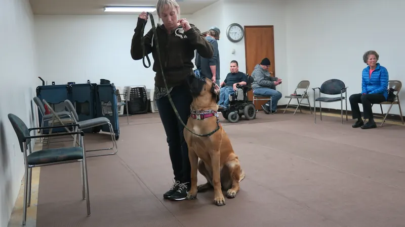 Clients and dogs in a Prodogz Dog Training basic obedience class led by Jason Lake in Medford, Oregon — January 1, 2018, photo 19