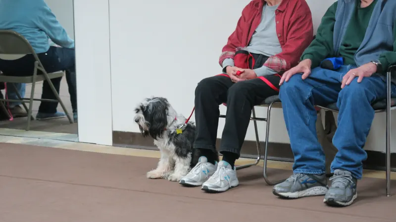 Clients and dogs in a Prodogz Dog Training basic obedience class led by Jason Lake in Medford, Oregon — January 8, 2018, photo 1