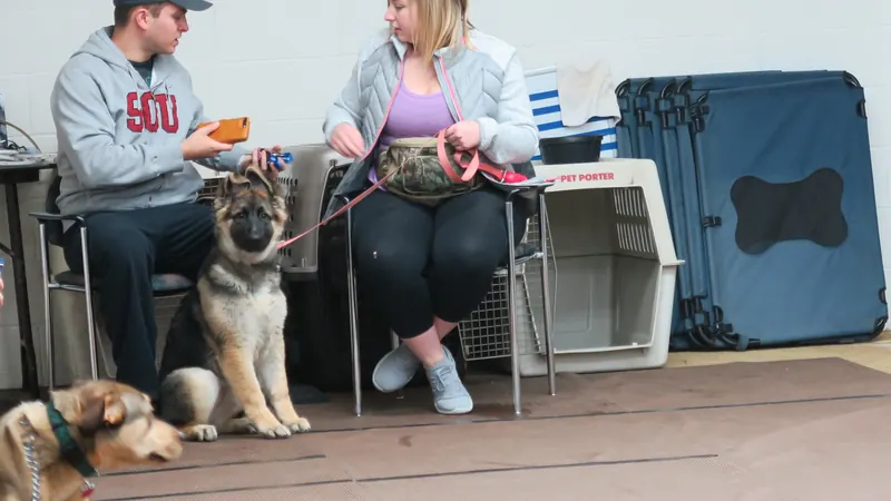 Clients and dogs in a Prodogz Dog Training basic obedience class led by Jason Lake in Medford, Oregon — January 8, 2018, photo 4