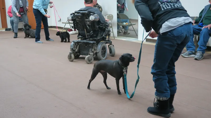 Clients and dogs in a Prodogz Dog Training basic obedience class led by Jason Lake in Medford, Oregon — January 8, 2018, photo 6