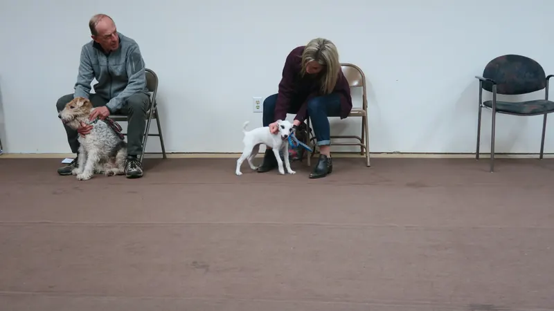 Clients and dogs in a Prodogz Dog Training basic obedience class led by Jason Lake in Medford, Oregon — February 5, 2018, photo 3