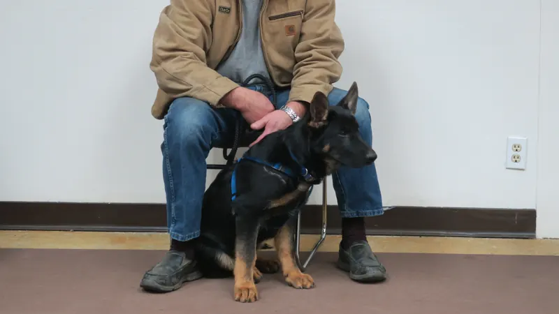 Clients and dogs in a Prodogz Dog Training basic obedience class led by Jason Lake in Medford, Oregon — February 5, 2018, photo 5