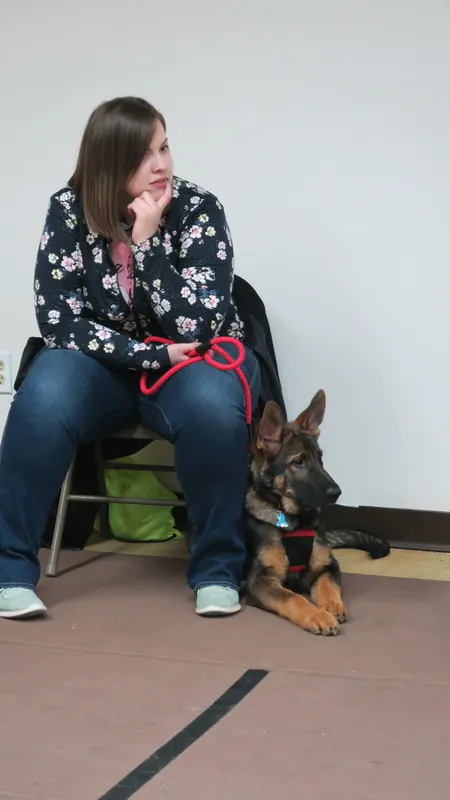 Clients and dogs in a Prodogz Dog Training basic obedience class led by Jason Lake in Medford, Oregon — February 5, 2018, photo 6