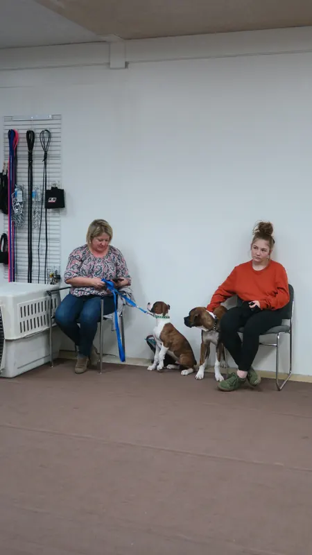 Clients and dogs in a Prodogz Dog Training basic obedience class led by Jason Lake in Medford, Oregon — February 5, 2018, photo 10