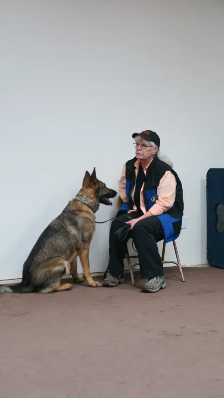 Clients and dogs in a Prodogz Dog Training basic obedience class led by Jason Lake in Medford, Oregon — February 5, 2018, photo 17
