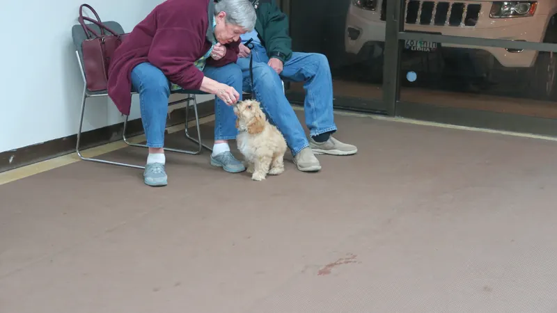 Clients and dogs in a Prodogz Dog Training basic obedience class led by Jason Lake in Medford, Oregon — February 5, 2018, photo 18