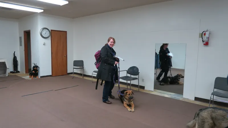 Clients and dogs in a Prodogz Dog Training basic obedience class led by Jason Lake in Medford, Oregon — February 26, 2018, photo 24