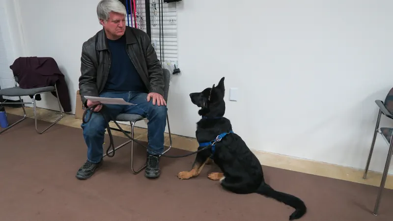 Clients and dogs in a Prodogz Dog Training basic obedience class led by Jason Lake in Medford, Oregon — February 26, 2018, photo 25