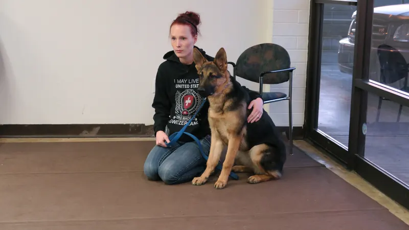 Clients and dogs in a Prodogz Dog Training basic obedience class led by Jason Lake in Medford, Oregon — March 5, 2018, photo 1