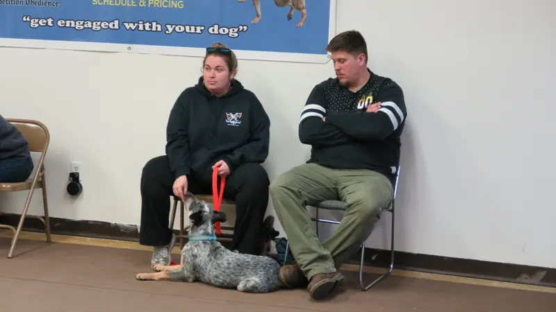 Clients and dogs in a Prodogz Dog Training basic obedience class led by Jason Lake in Medford, Oregon — March 5, 2018, photo 2