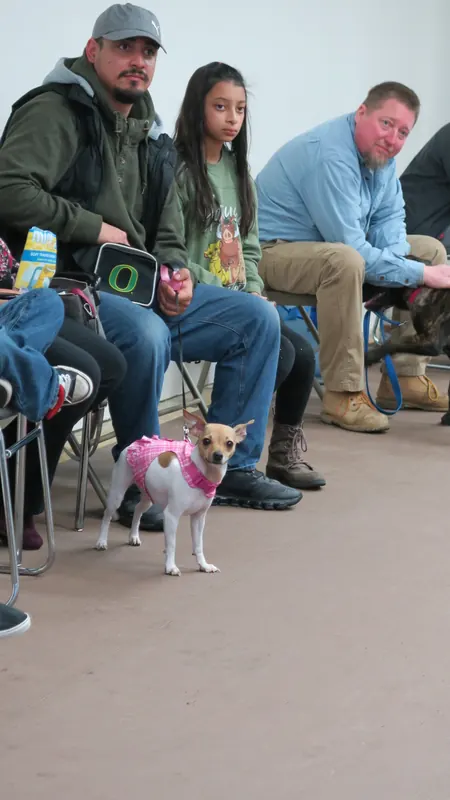 Clients and dogs in a Prodogz Dog Training basic obedience class led by Jason Lake in Medford, Oregon — March 5, 2018, photo 6