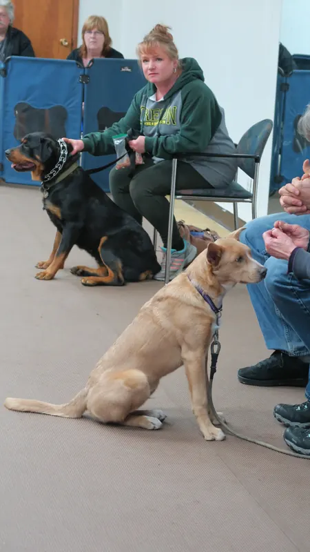 Clients and dogs in a Prodogz Dog Training basic obedience class led by Jason Lake in Medford, Oregon — March 5, 2018, photo 8
