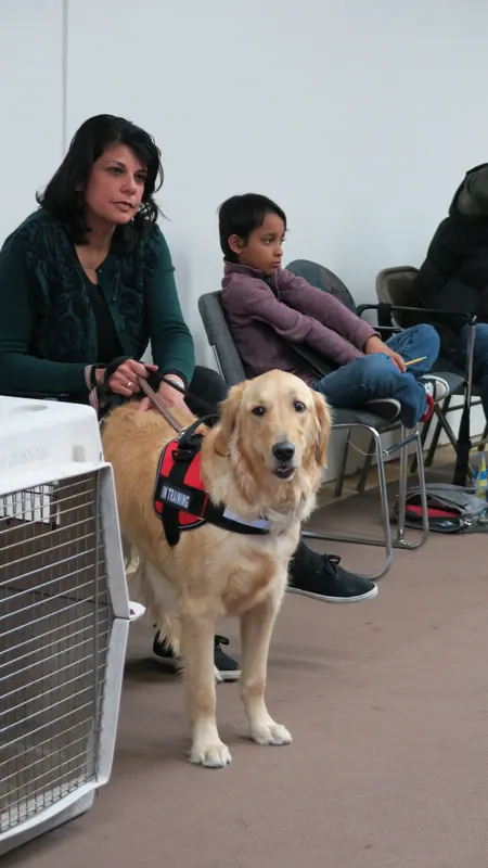 Clients and dogs in a Prodogz Dog Training basic obedience class led by Jason Lake in Medford, Oregon — March 5, 2018, photo 9