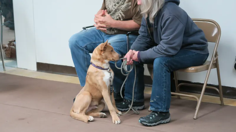 Clients and dogs in a Prodogz Dog Training basic obedience class led by Jason Lake in Medford, Oregon — March 5, 2018, photo 13