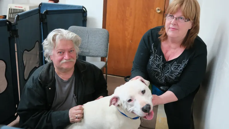 Clients and dogs in a Prodogz Dog Training basic obedience class led by Jason Lake in Medford, Oregon — March 5, 2018, photo 17