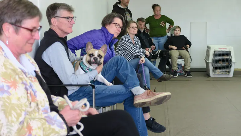 Clients and dogs in a Prodogz Dog Training basic obedience class led by Jason Lake in Medford, Oregon — April 2, 2018, photo 2
