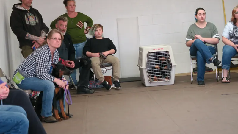 Clients and dogs in a Prodogz Dog Training basic obedience class led by Jason Lake in Medford, Oregon — April 2, 2018, photo 4