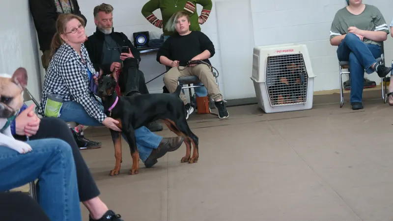 Clients and dogs in a Prodogz Dog Training basic obedience class led by Jason Lake in Medford, Oregon — April 2, 2018, photo 7