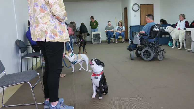 Clients and dogs in a Prodogz Dog Training basic obedience class led by Jason Lake in Medford, Oregon — April 2, 2018, photo 10