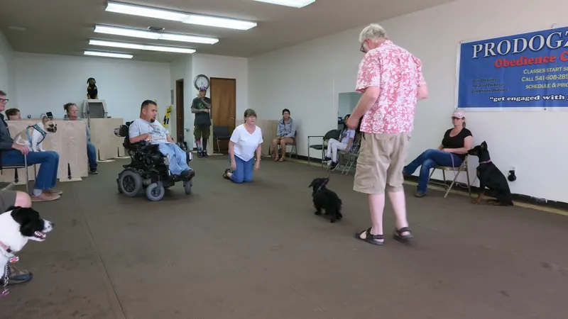 Clients and dogs in a Prodogz Dog Training basic obedience class led by Jason Lake in Medford, Oregon — April 23, 2018, photo 11