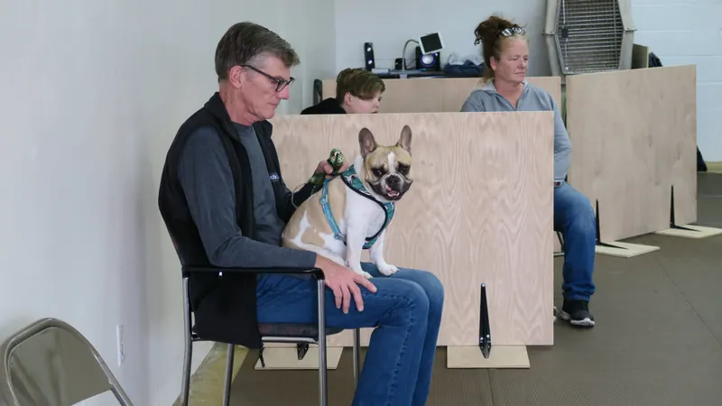 Clients and dogs in a Prodogz Dog Training basic obedience class led by Jason Lake in Medford, Oregon — April 23, 2018, photo 15