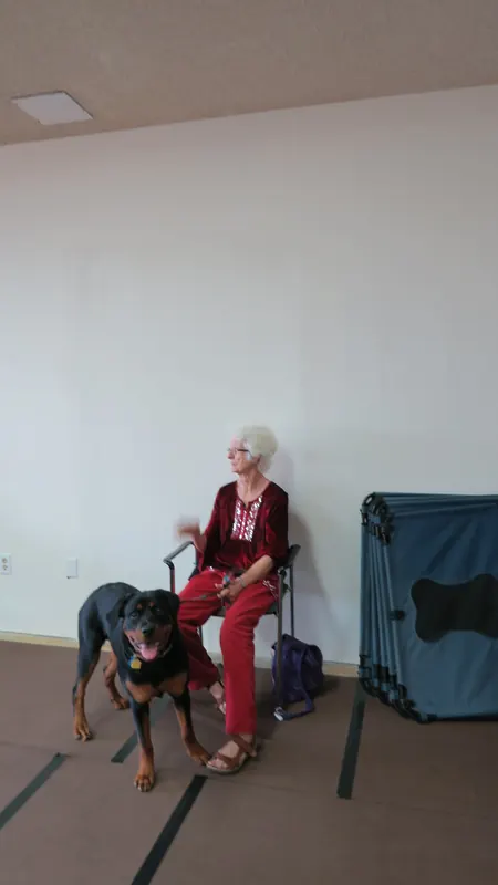 Clients and dogs in a Prodogz Dog Training basic obedience class led by Jason Lake in Medford, Oregon — May 21, 2018, photo 4