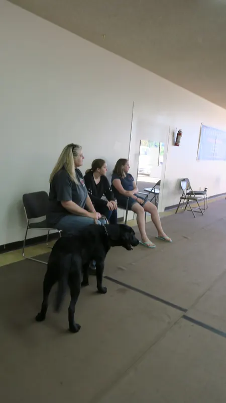 Clients and dogs in a Prodogz Dog Training basic obedience class led by Jason Lake in Medford, Oregon — May 21, 2018, photo 5