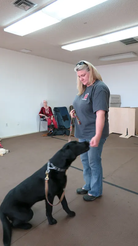 Clients and dogs in a Prodogz Dog Training basic obedience class led by Jason Lake in Medford, Oregon — May 21, 2018, photo 7