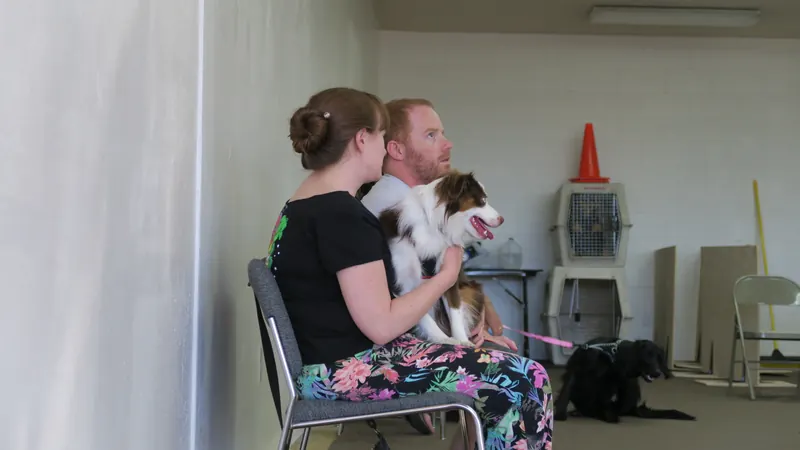Clients and dogs in a Prodogz Dog Training basic obedience class led by Jason Lake in Medford, Oregon — June 25, 2018, photo 1