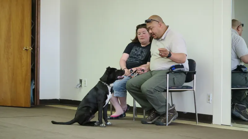 Clients and dogs in a Prodogz Dog Training basic obedience class led by Jason Lake in Medford, Oregon — June 25, 2018, photo 2