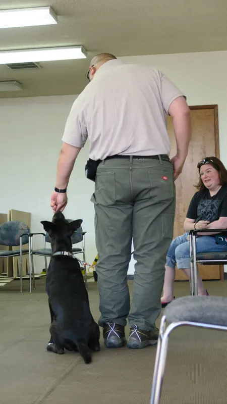 Clients and dogs in a Prodogz Dog Training basic obedience class led by Jason Lake in Medford, Oregon — June 25, 2018, photo 6