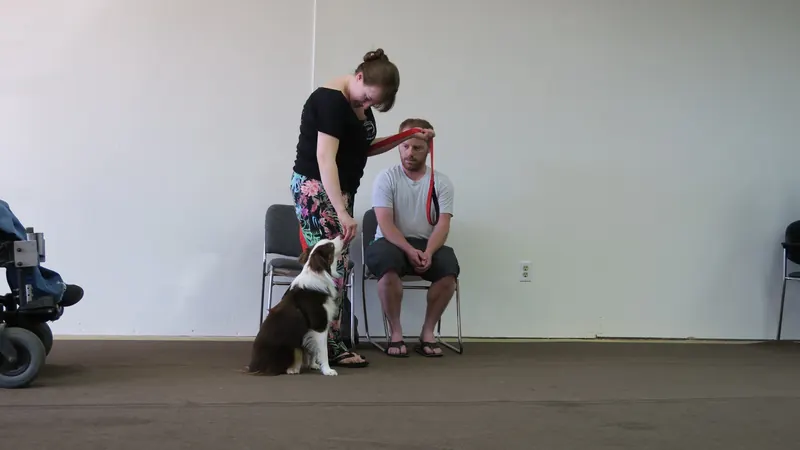 Clients and dogs in a Prodogz Dog Training basic obedience class led by Jason Lake in Medford, Oregon — June 25, 2018, photo 7
