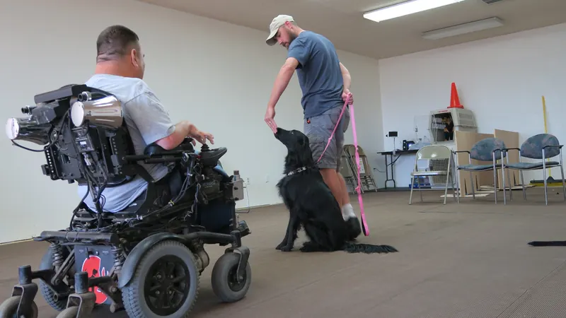 Clients and dogs in a Prodogz Dog Training basic obedience class led by Jason Lake in Medford, Oregon — June 25, 2018, photo 8