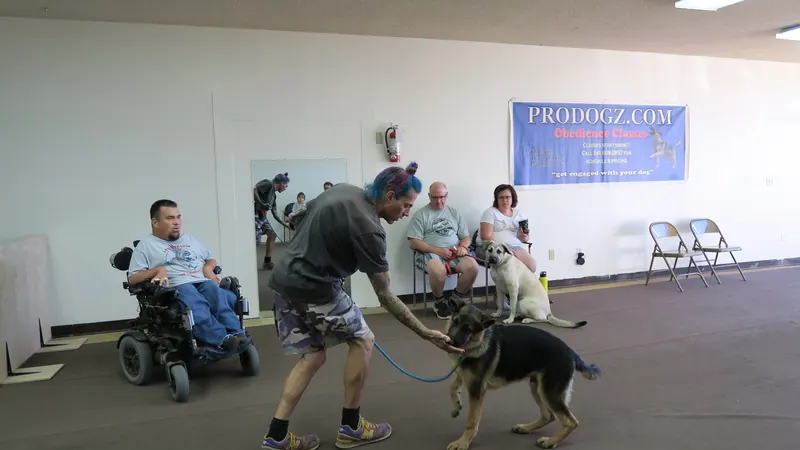 Clients and dogs in a Prodogz Dog Training basic obedience class led by Jason Lake in Medford, Oregon — July 2, 2018, photo 1