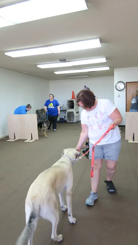 Clients and dogs in a Prodogz Dog Training basic obedience class led by Jason Lake in Medford, Oregon — July 2, 2018, photo 3