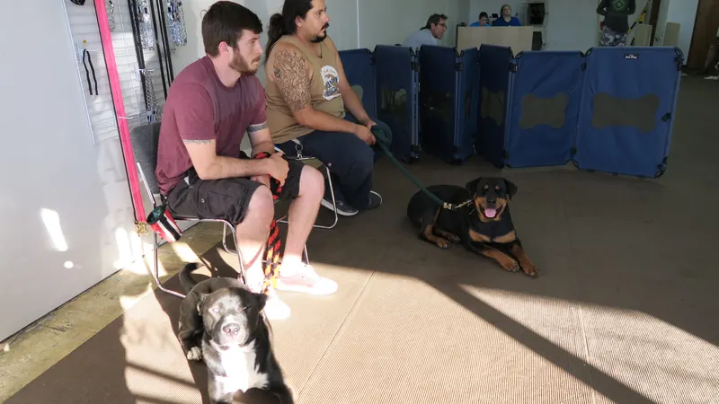 Clients and dogs in a Prodogz Dog Training basic obedience class led by Jason Lake in Medford, Oregon — July 2, 2018, photo 6