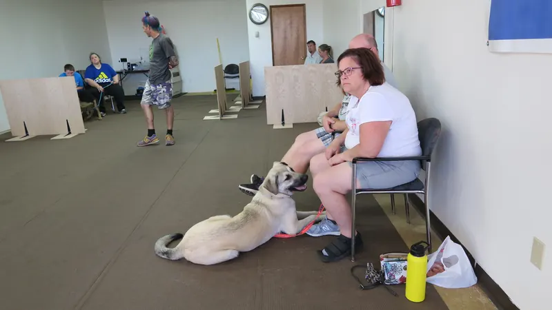 Clients and dogs in a Prodogz Dog Training basic obedience class led by Jason Lake in Medford, Oregon — July 2, 2018, photo 7