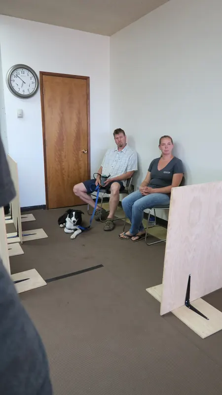 Clients and dogs in a Prodogz Dog Training basic obedience class led by Jason Lake in Medford, Oregon — July 2, 2018, photo 8