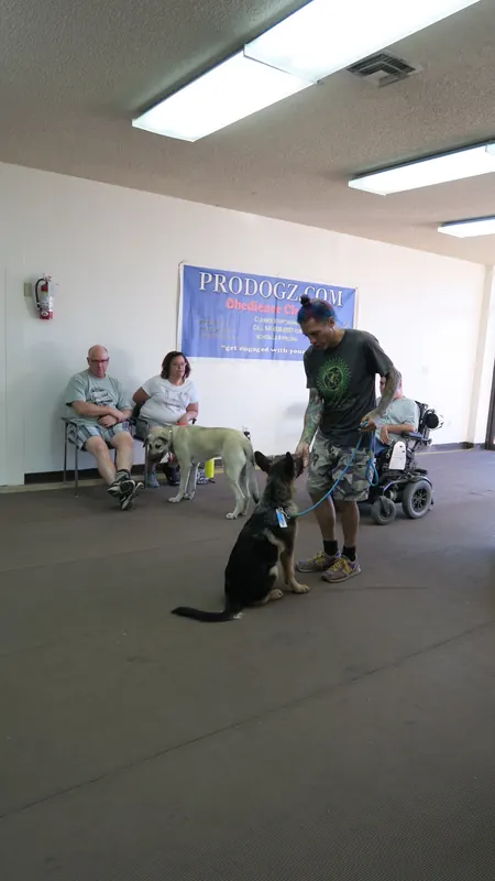 Clients and dogs in a Prodogz Dog Training basic obedience class led by Jason Lake in Medford, Oregon — July 2, 2018, photo 10