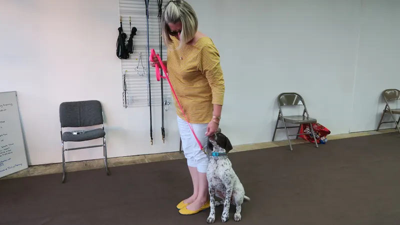 Clients and dogs in a Prodogz Dog Training basic obedience class led by Jason Lake in Medford, Oregon — September 24, 2018, photo 1