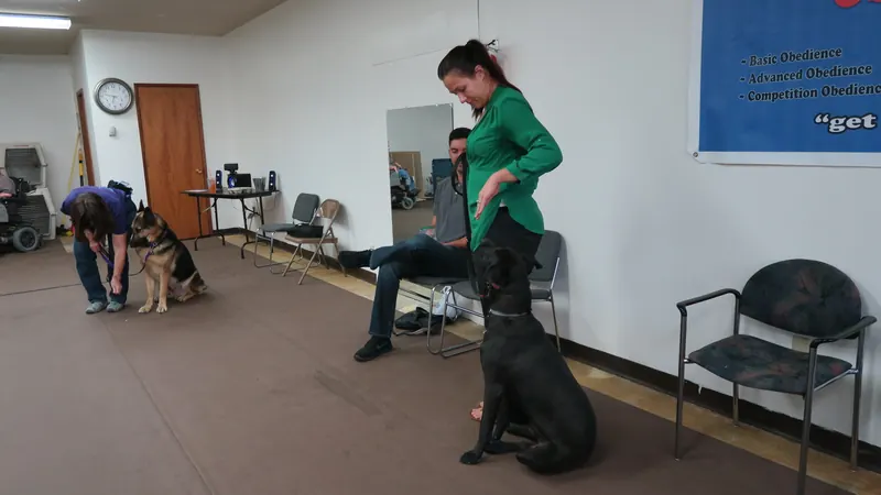 Clients and dogs in a Prodogz Dog Training basic obedience class led by Jason Lake in Medford, Oregon — September 24, 2018, photo 3