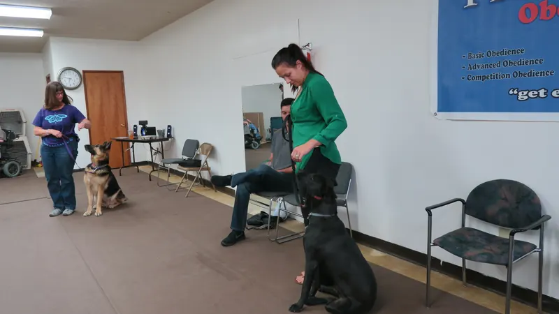 Clients and dogs in a Prodogz Dog Training basic obedience class led by Jason Lake in Medford, Oregon — September 24, 2018, photo 4
