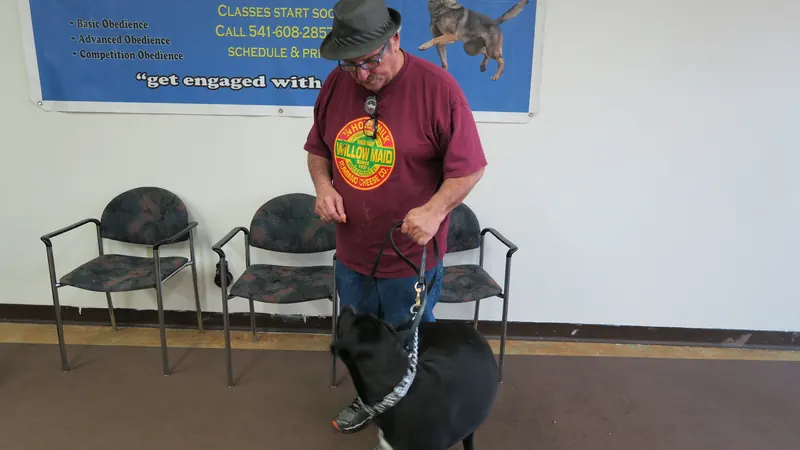 Clients and dogs in a Prodogz Dog Training basic obedience class led by Jason Lake in Medford, Oregon — September 24, 2018, photo 5