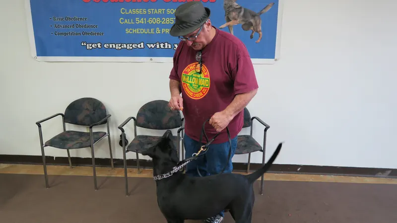 Clients and dogs in a Prodogz Dog Training basic obedience class led by Jason Lake in Medford, Oregon — September 24, 2018, photo 6