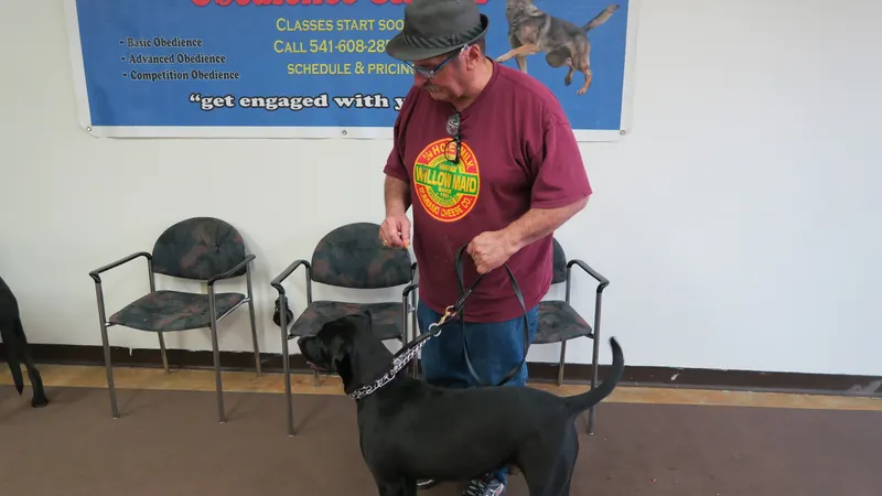 Clients and dogs in a Prodogz Dog Training basic obedience class led by Jason Lake in Medford, Oregon — September 24, 2018, photo 7