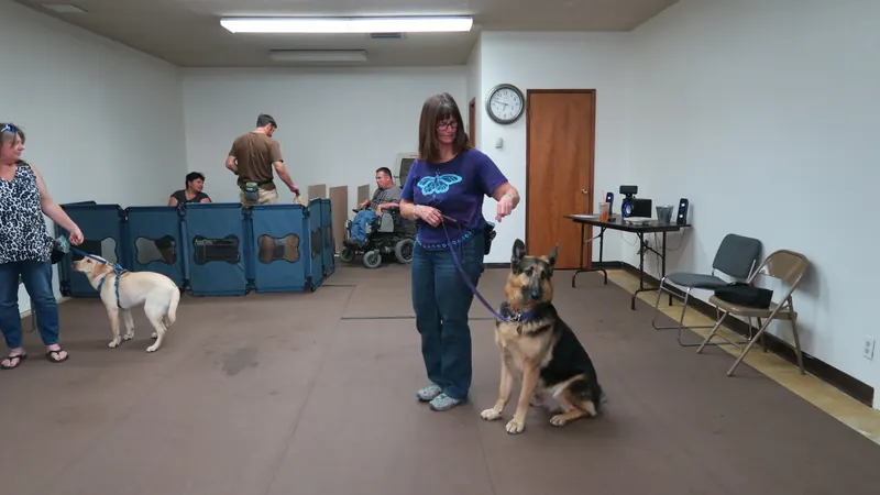 Clients and dogs in a Prodogz Dog Training basic obedience class led by Jason Lake in Medford, Oregon — September 24, 2018, photo 8